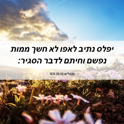 Picture 06 - תהלים 78:50 HEB - יפלס נתיב לאפו לא חשך ממות - Bible Verse Picture