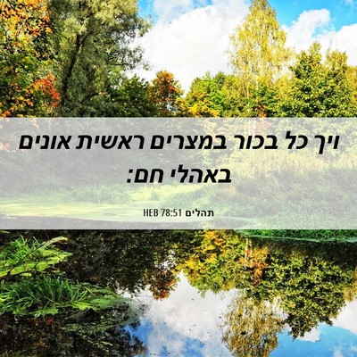 Picture 06 - תהלים 78:51 HEB - ויך כל בכור במצרים ראשית - Bible Verse Picture