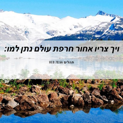 Picture 06 - תהלים 78:66 HEB - ויך צריו אחור חרפת עולם נתן - Bible Verse Picture