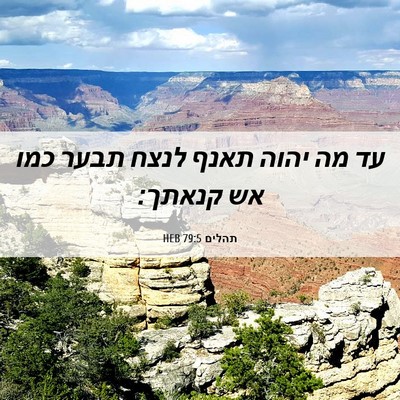 Picture 06 - תהלים 79:5 HEB - עד מה יהוה תאנף לנצח תבער - Bible Verse Picture