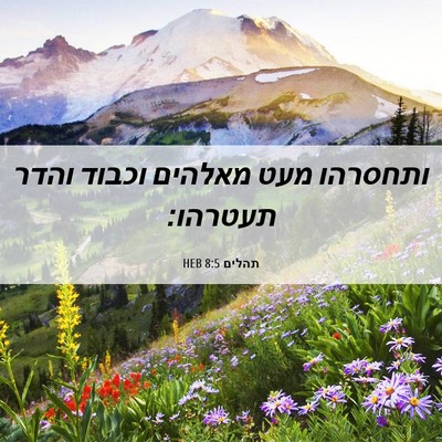 Picture 06 - תהלים 8:5 HEB - ותחסרהו מעט מאלהים וכבוד - Bible Verse Picture
