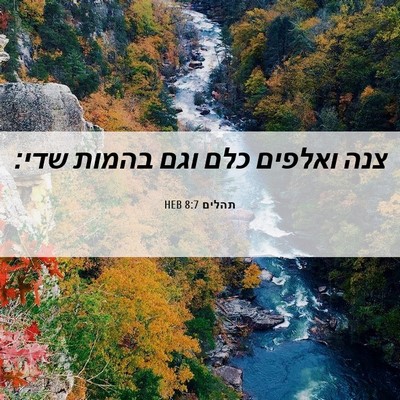 Picture 06 - תהלים 8:7 HEB - צנה ואלפים כלם וגם בהמות - Bible Verse Picture