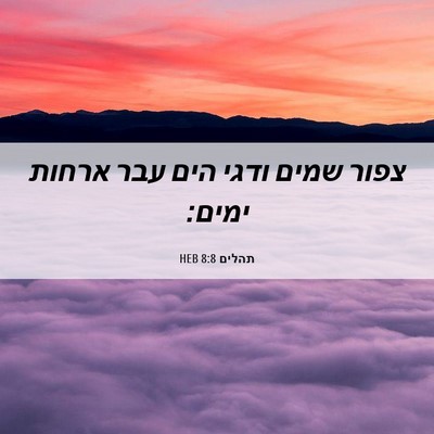Picture 06 - תהלים 8:8 HEB - צפור שמים ודגי הים עבר - Bible Verse Picture