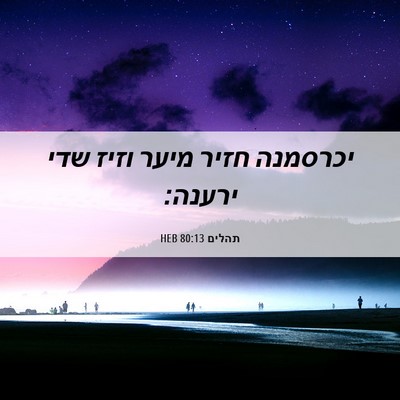 Picture 06 - תהלים 80:13 HEB - יכרסמנה חזיר מיער וזיז שדי - Bible Verse Picture