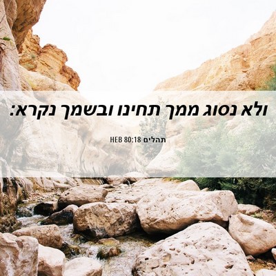 Picture 06 - תהלים 80:18 HEB - ולא נסוג ממך תחינו ובשמך - Bible Verse Picture