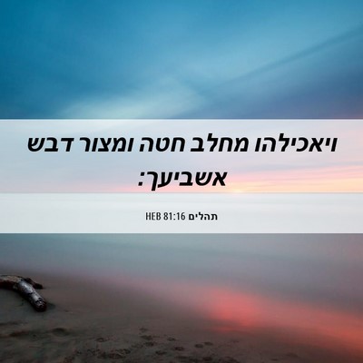 Picture 06 - תהלים 81:16 HEB - ויאכילהו מחלב חטה ומצור - Bible Verse Picture