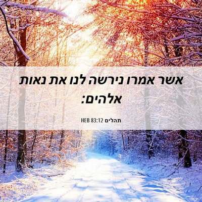 Picture 06 - תהלים 83:12 HEB - אשר אמרו נירשה לנו את נאות - Bible Verse Picture