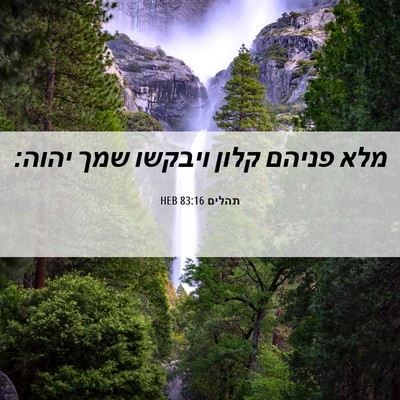 Picture 06 - תהלים 83:16 HEB - מלא פניהם קלון ויבקשו שמך - Bible Verse Picture