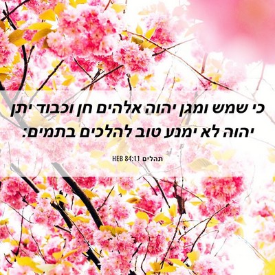 Picture 06 - תהלים 84:11 HEB - כי שמש ומגן יהוה אלהים חן - Bible Verse Picture