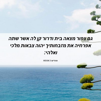 Picture 06 - תהלים 84:3 HEB - גם צפור מצאה בית ודרור קן - Bible Verse Picture