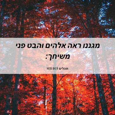 Picture 06 - תהלים 84:9 HEB - מגננו ראה אלהים והבט פני - Bible Verse Picture