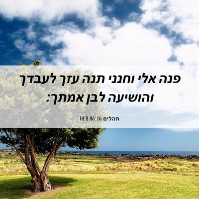 Picture 06 - תהלים 86:16 HEB - פנה אלי וחנני תנה עזך לעבדך - Bible Verse Picture