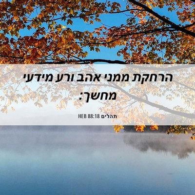 Picture 06 - תהלים 88:18 HEB - הרחקת ממני אהב ורע מידעי - Bible Verse Picture