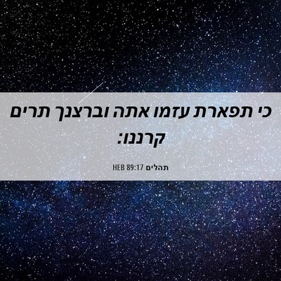 Picture 06 - תהלים 89:17 HEB - כי תפארת עזמו אתה וברצנך - Bible Verse Picture