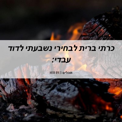 Picture 06 - תהלים 89:3 HEB - כרתי ברית לבחירי נשבעתי - Bible Verse Picture