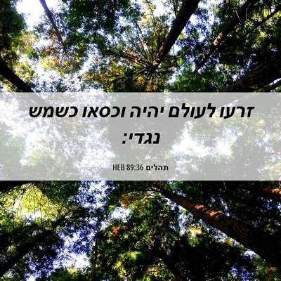 Picture 06 - תהלים 89:36 HEB - זרעו לעולם יהיה וכסאו כשמש - Bible Verse Picture