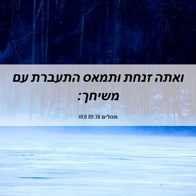 Picture 06 - תהלים 89:38 HEB - ואתה זנחת ותמאס התעברת עם - Bible Verse Picture