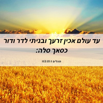 Picture 06 - תהלים 89:4 HEB - עד עולם אכין זרעך ובניתי - Bible Verse Picture