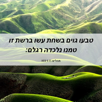 Picture 06 - תהלים 9:15 HEB - טבעו גוים בשחת עשו ברשת זו - Bible Verse Picture