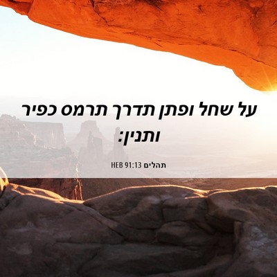 Picture 06 - תהלים 91:13 HEB - על שחל ופתן תדרך תרמס כפיר - Bible Verse Picture
