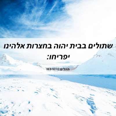 Picture 06 - תהלים 92:13 HEB - שתולים בבית יהוה בחצרות - Bible Verse Picture