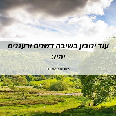 Picture 06 - תהלים 92:14 HEB - עוד ינובון בשיבה דשנים - Bible Verse Picture