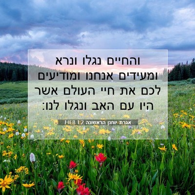 Picture 07 - אגרת יוחנן הראשונה 1:2 HEB - והחיים נגלו ונרא ומעידים - Bible Verse Picture