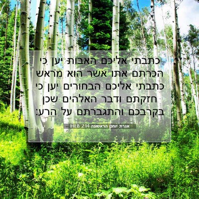 Picture 07 - אגרת יוחנן הראשונה 2:14 HEB - כתבתי אליכם האבות יען כי - Bible Verse Picture