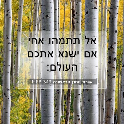 Picture 07 - אגרת יוחנן הראשונה 3:13 HEB - אל תתמהו אחי אם ישנא אתכם - Bible Verse Picture