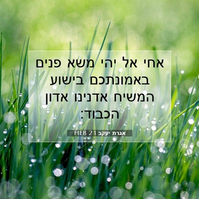 Picture 07 - אגרת יעקב 2:1 HEB - אחי אל יהי משא פנים - Bible Verse Picture