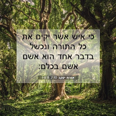 Picture 07 - אגרת יעקב 2:10 HEB - כי איש אשר יקים את כל התורה - Bible Verse Picture