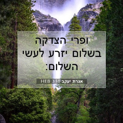 Picture 07 - אגרת יעקב 3:18 HEB - ופרי הצדקה בשלום יזרע לעשי - Bible Verse Picture