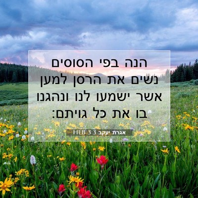 Picture 07 - אגרת יעקב 3:3 HEB - הנה בפי הסוסים נשים את הרסן - Bible Verse Picture