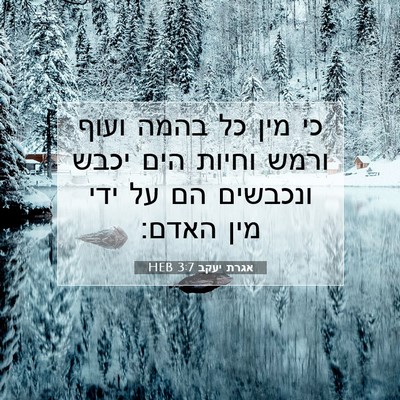 Picture 07 - אגרת יעקב 3:7 HEB - כי מין כל בהמה ועוף ורמש - Bible Verse Picture