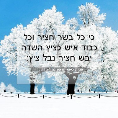 Picture 07 - אגרת כיפא הראשונה 1:24 HEB - כי כל בשר חציר וכל כבוד איש - Bible Verse Picture