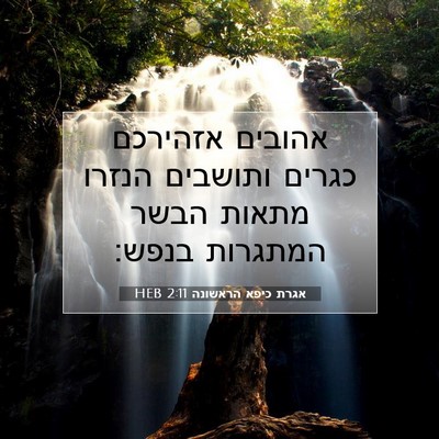 Picture 07 - אגרת כיפא הראשונה 2:11 HEB - אהובים אזהירכם כגרים - Bible Verse Picture