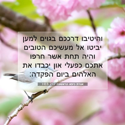Picture 07 - אגרת כיפא הראשונה 2:12 HEB - והיטיבו דרככם בגוים למען - Bible Verse Picture