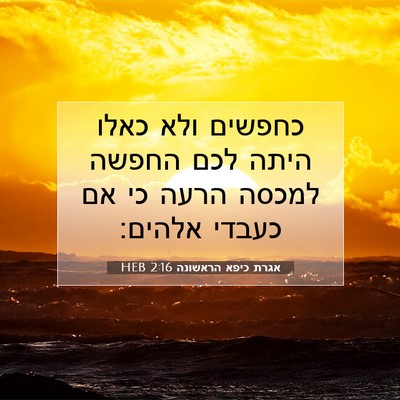Picture 07 - אגרת כיפא הראשונה 2:16 HEB - כחפשים ולא כאלו היתה לכם - Bible Verse Picture