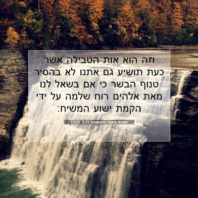 Picture 07 - אגרת כיפא הראשונה 3:21 HEB - וזה הוא אות הטבילה אשר כעת - Bible Verse Picture