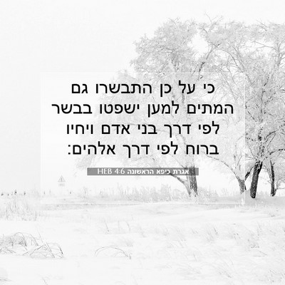Picture 07 - אגרת כיפא הראשונה 4:6 HEB - כי על כן התבשרו גם המתים - Bible Verse Picture