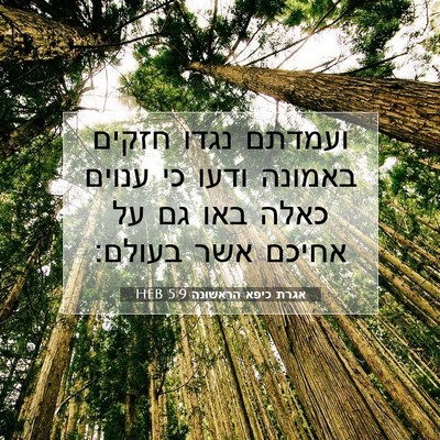 Picture 07 - אגרת כיפא הראשונה 5:9 HEB - ועמדתם נגדו חזקים באמונה - Bible Verse Picture