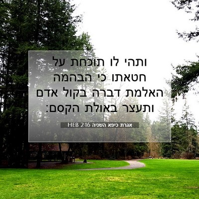 Picture 07 - אגרת כיפא השניה 2:16 HEB - ותהי לו תוכחת על חטאתו כי - Bible Verse Picture