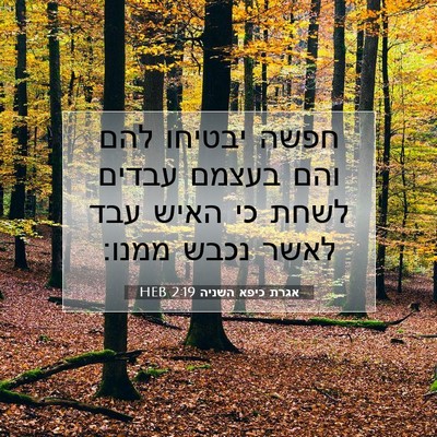 Picture 07 - אגרת כיפא השניה 2:19 HEB - חפשה יבטיחו להם והם בעצמם - Bible Verse Picture