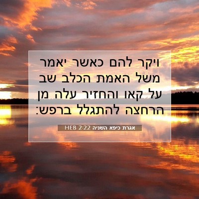 Picture 07 - אגרת כיפא השניה 2:22 HEB - ויקר להם כאשר יאמר משל האמת - Bible Verse Picture