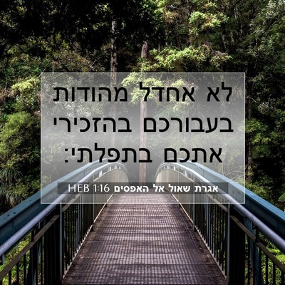 Picture 07 - אגרת שאול אל האפסים 1:16 HEB - לא אחדל מהודות בעבורכם - Bible Verse Picture