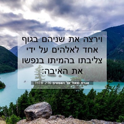 Picture 07 - אגרת שאול אל האפסים 2:16 HEB - וירצה את שניהם בגוף אחד - Bible Verse Picture