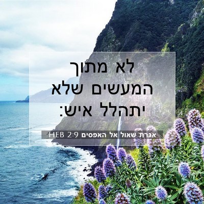 Picture 07 - אגרת שאול אל האפסים 2:9 HEB - לא מתוך המעשים שלא יתהלל - Bible Verse Picture