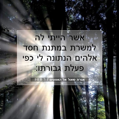 Picture 07 - אגרת שאול אל האפסים 3:7 HEB - אשר הייתי לה למשרת במתנת - Bible Verse Picture
