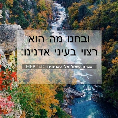 Picture 07 - אגרת שאול אל האפסים 5:10 HEB - ובחנו מה הוא רצוי בעיני - Bible Verse Picture