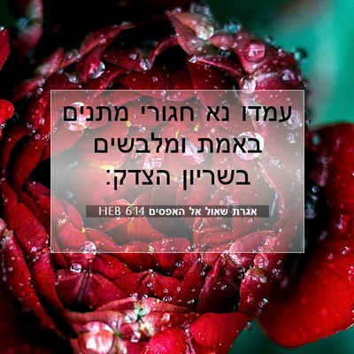 Picture 07 - אגרת שאול אל האפסים 6:14 HEB - עמדו נא חגורי מתנים באמת - Bible Verse Picture